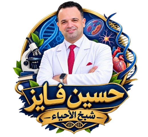حسين فايز